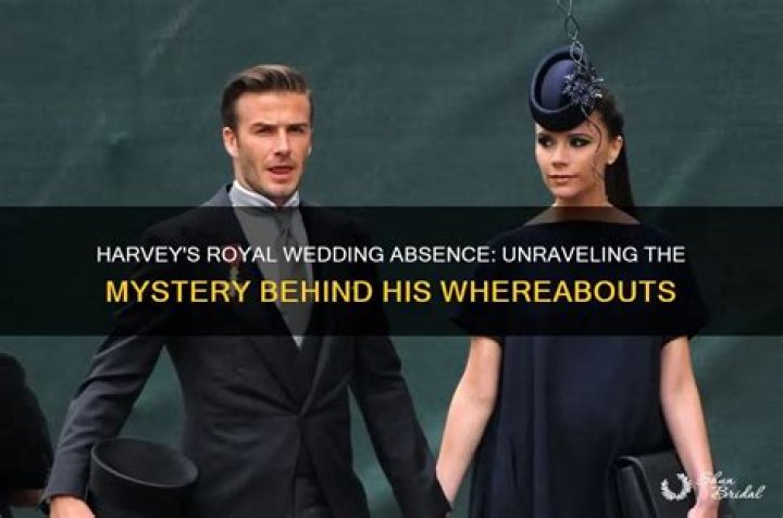 Unraveling the Mystery: Is Harvey Levin Married?