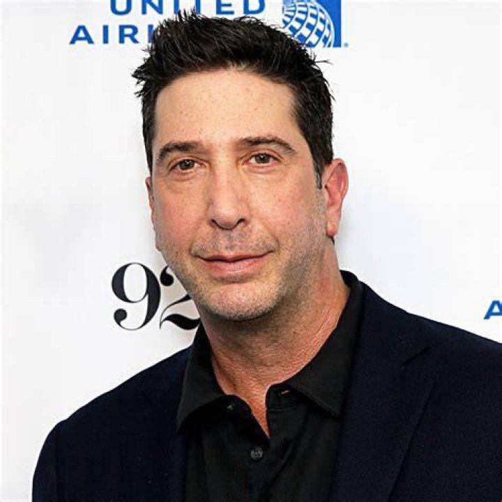 Unveiling the Life of David Schwimmer's Wife: A Journey of Love and Partnership