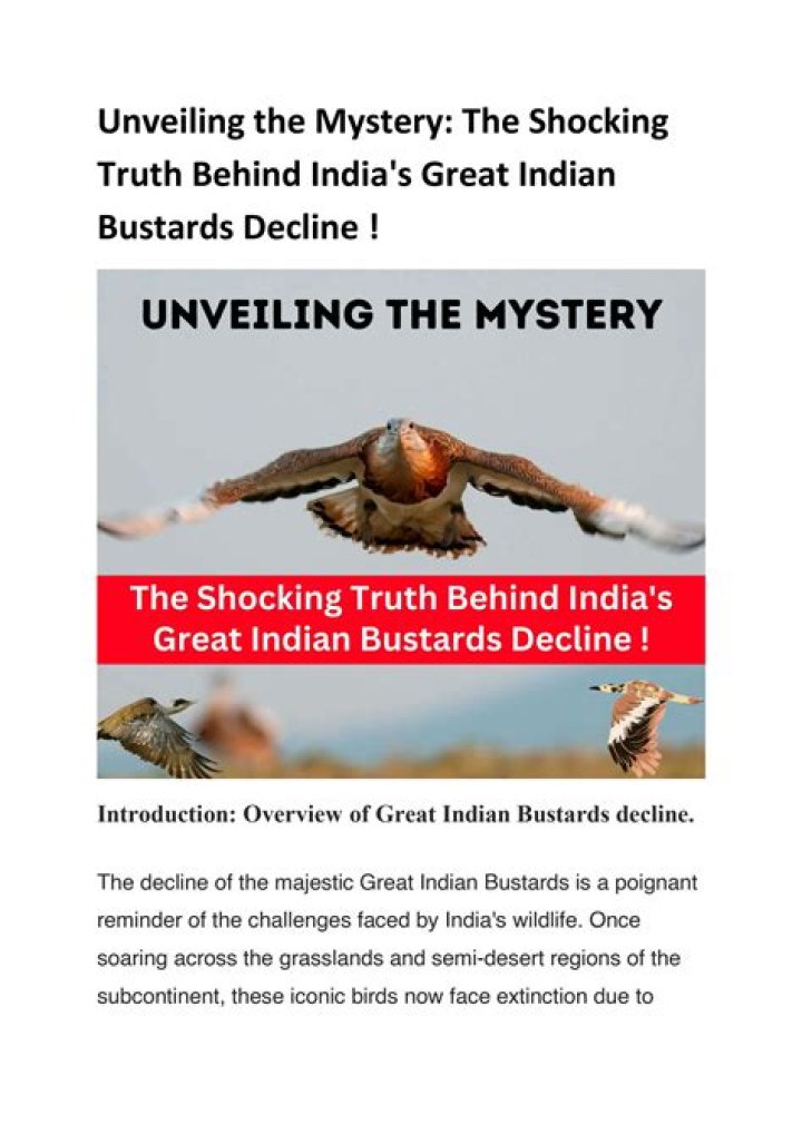 Unveiling the Mystery Behind Shubhashri Viral Video: What’s All the Buzz About?